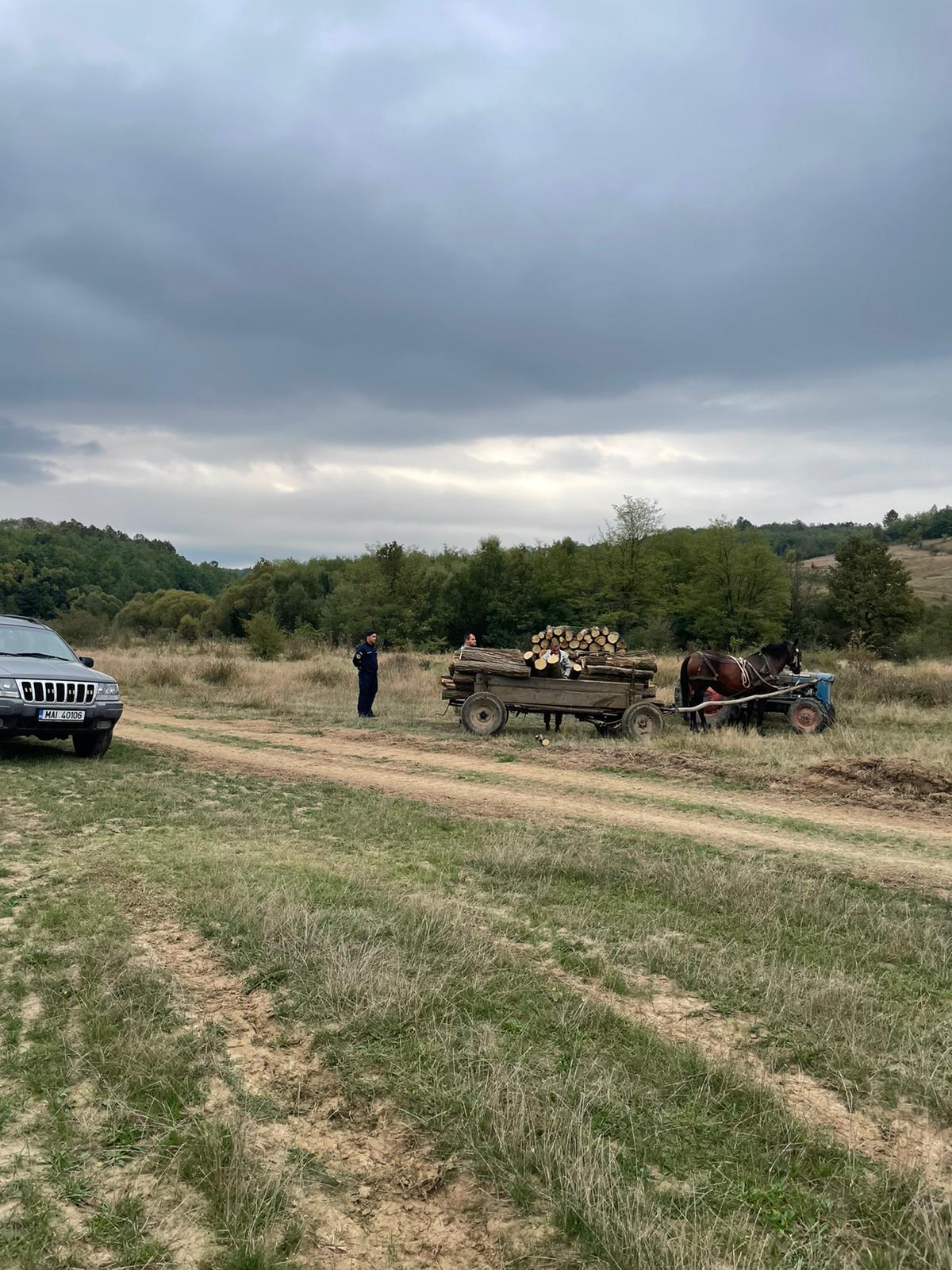 hoti lemne jandarmi ijj timis (6)