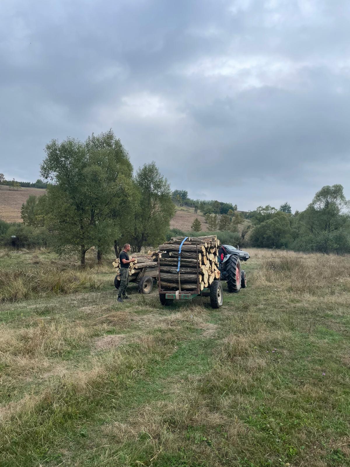 hoti lemne jandarmi ijj timis (4)