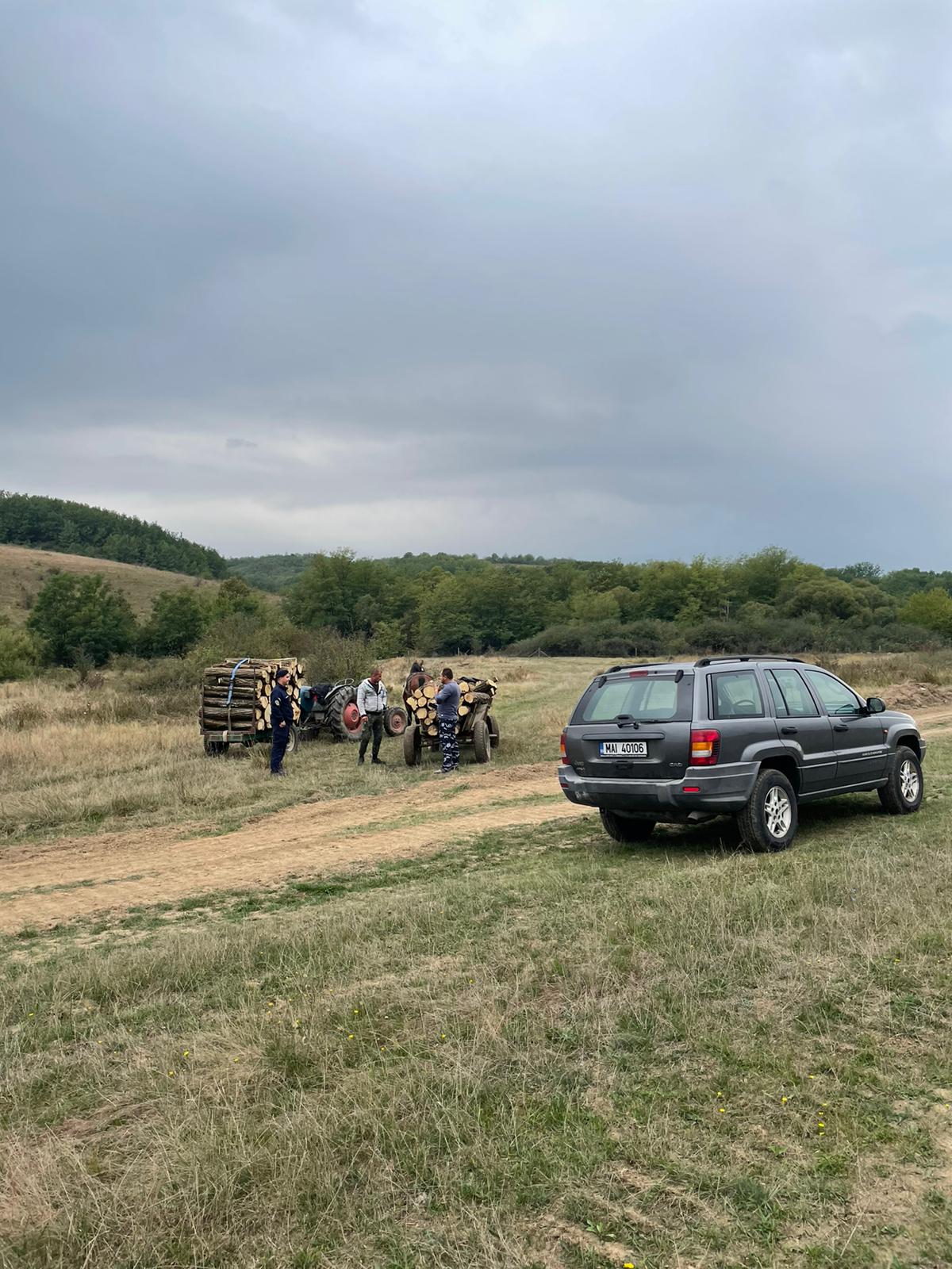 hoti lemne jandarmi ijj timis (2)