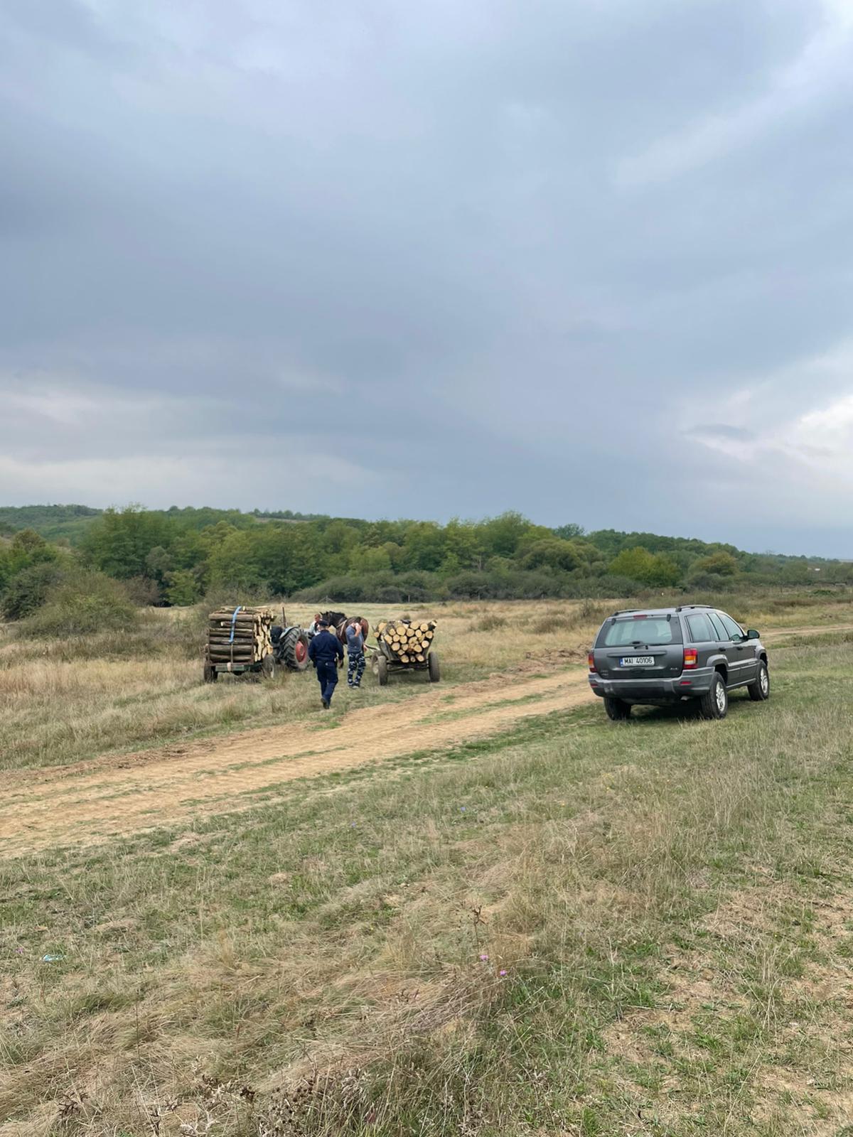 hoti lemne jandarmi ijj timis (1)