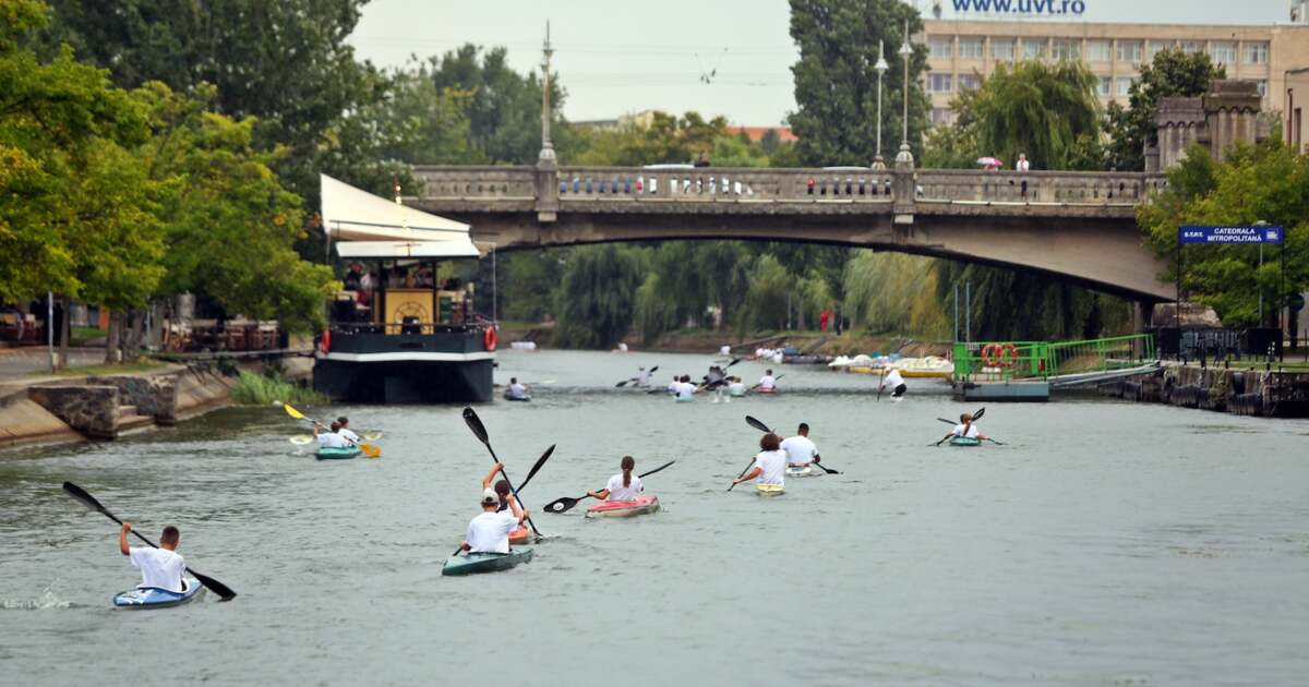 Activități de petrecere a timpului liber la Timișoara pe 19 august 2024