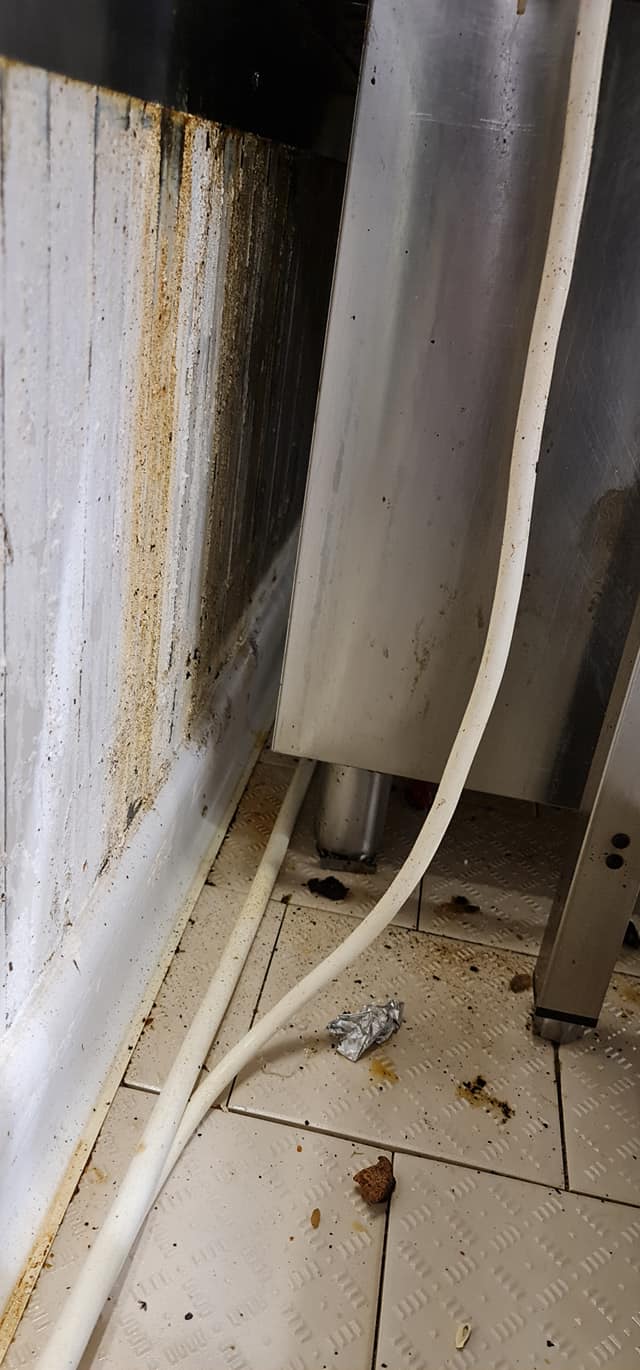 244642770_1813383162202554_8025724325235534188_n