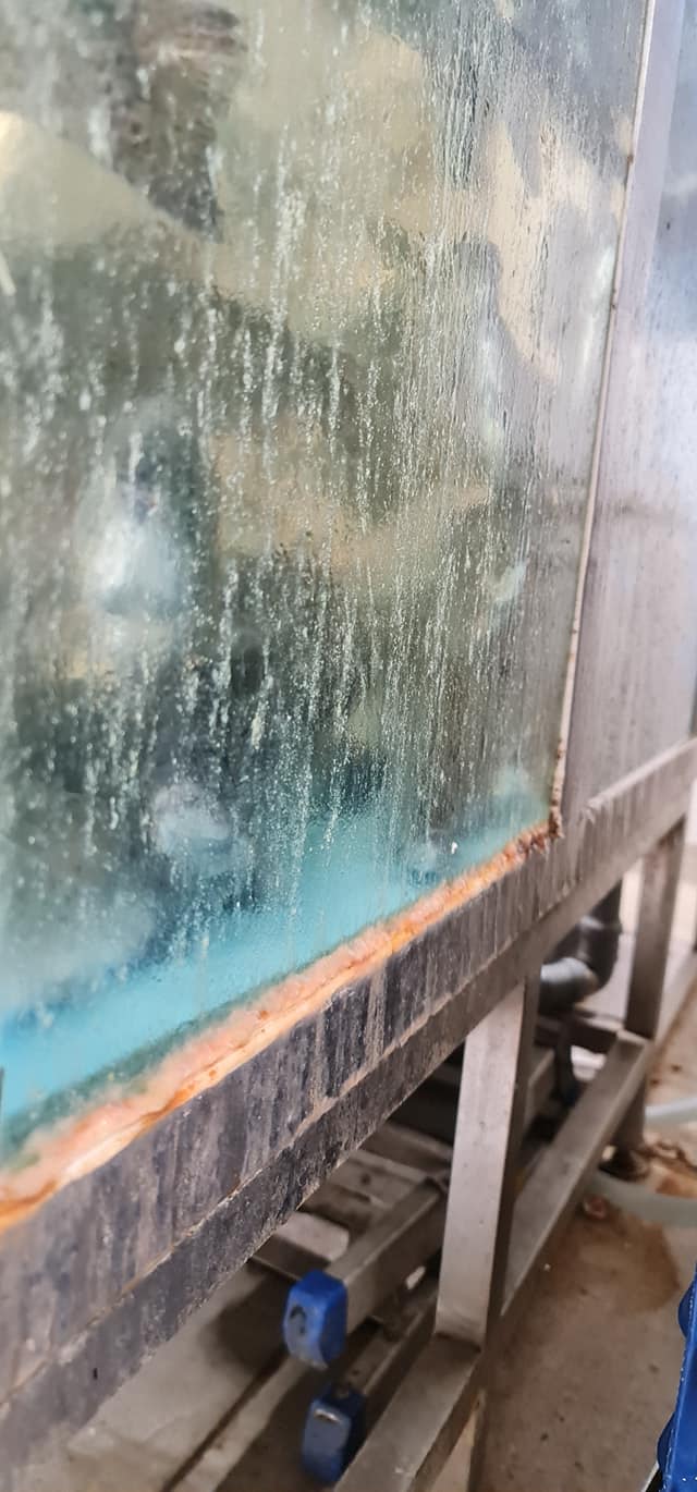 244647395_1813381915536012_2982743822660626882_n