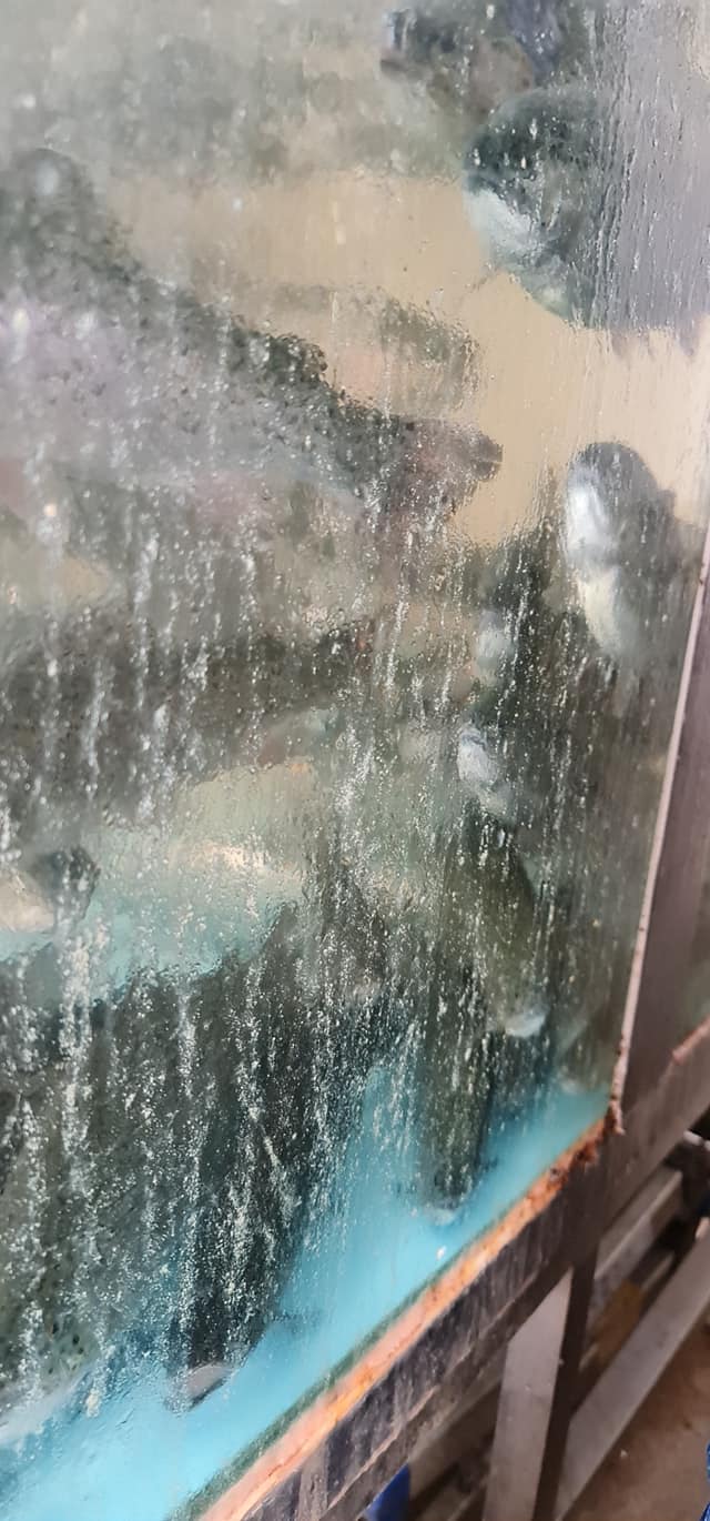 245316038_1813381988869338_7094091582137918417_n