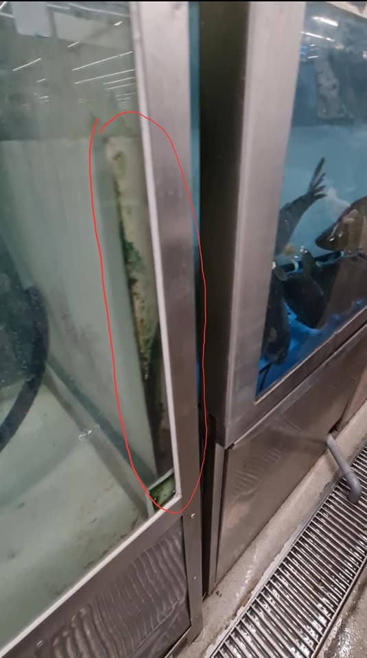 CRPC Timiș amenda supermarket (2)