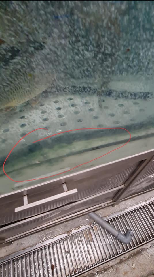 CRPC Timiș amenda supermarket (13)