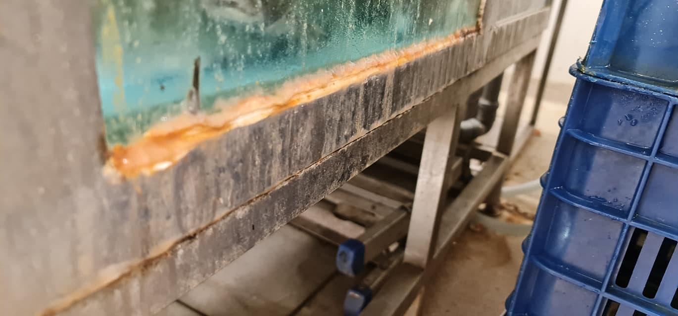 CRPC Timiș amenda supermarket (20)