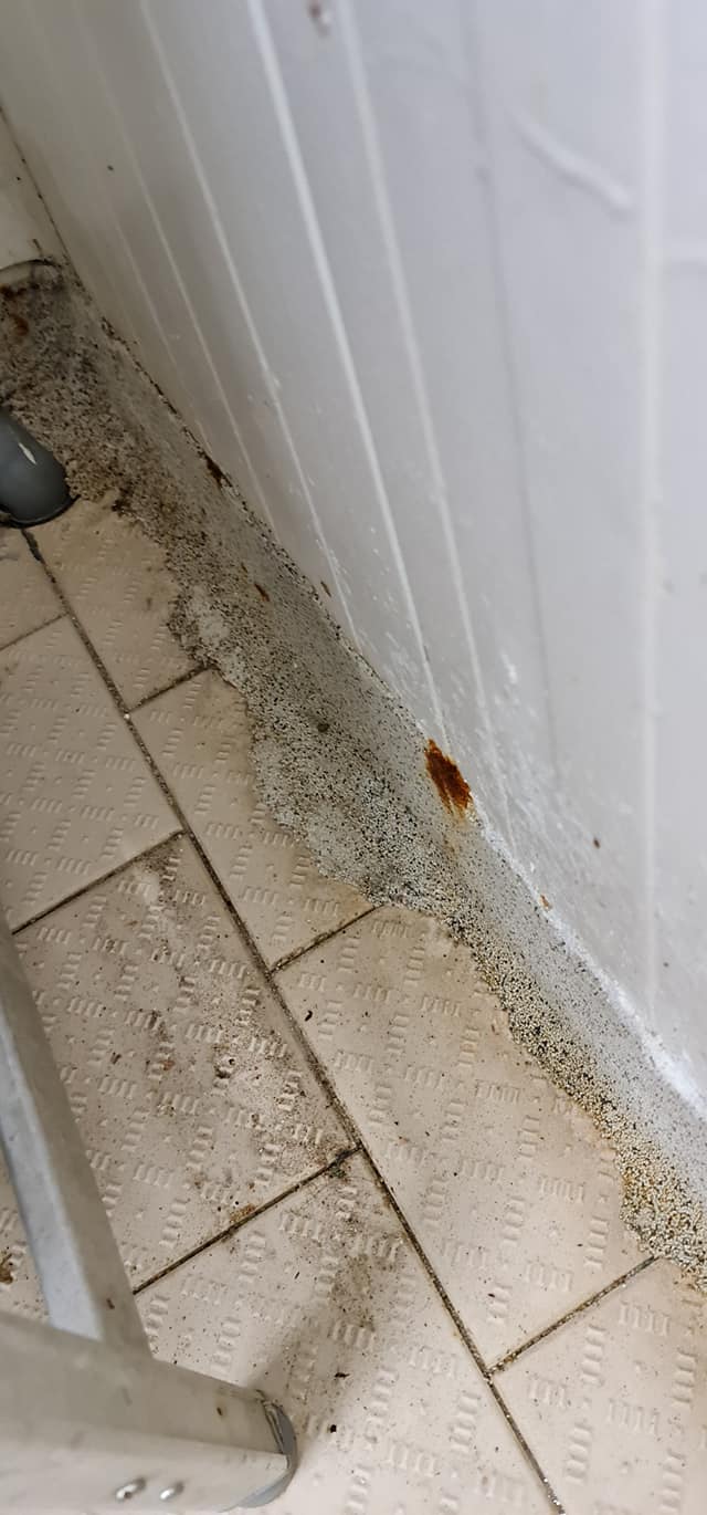 CRPC Timiș amenda supermarket (23)