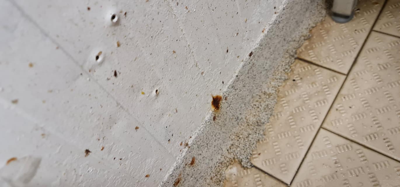 CRPC Timiș amenda supermarket (25)