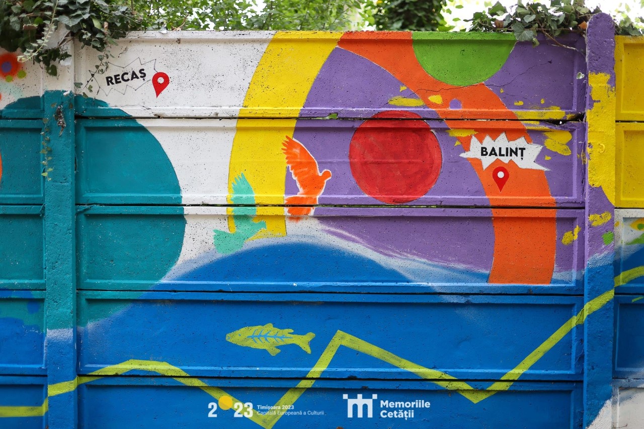 liceul de artă memoriile cetății