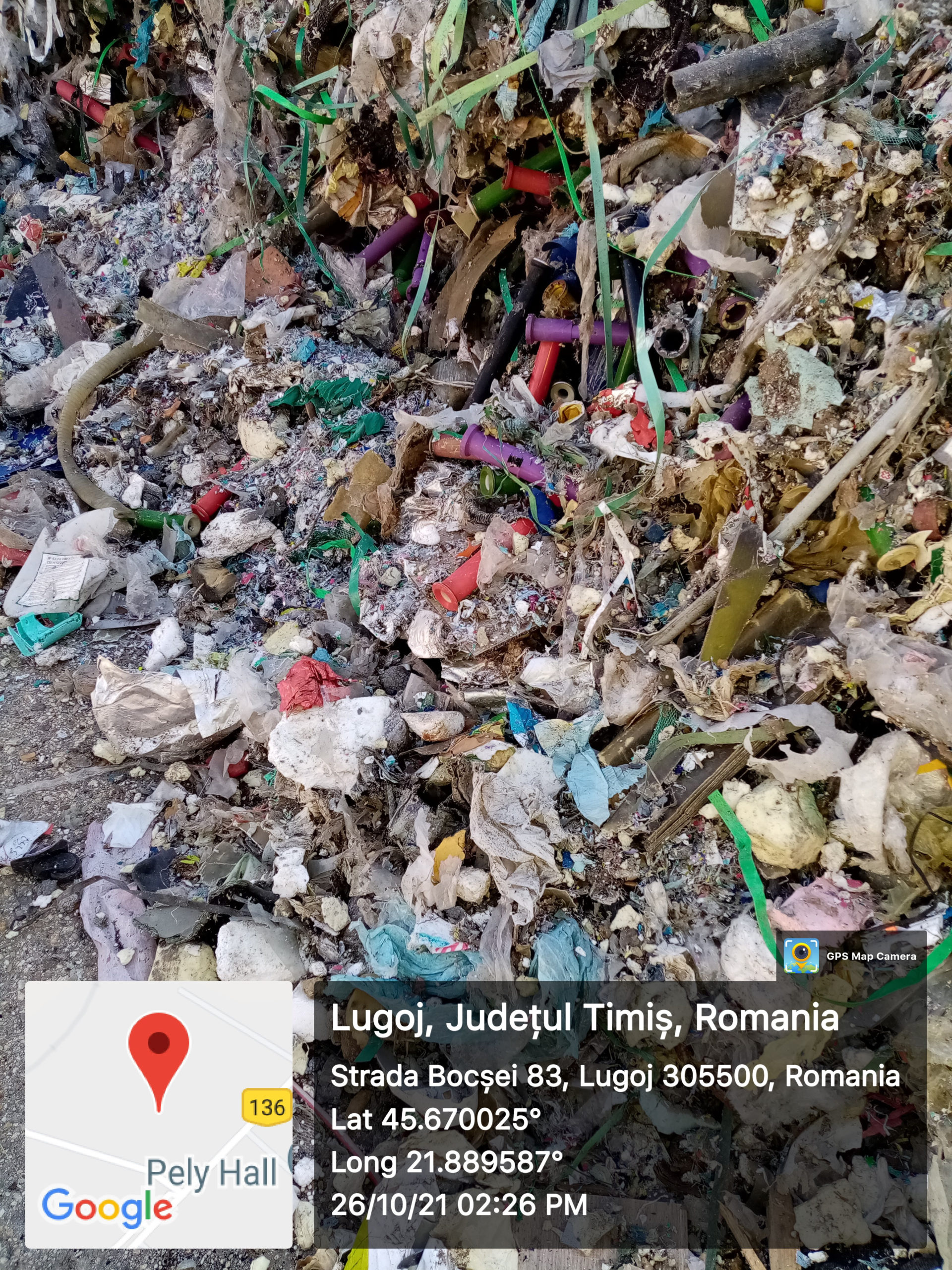 tiruri cu gunoaie straine la lugoj 7