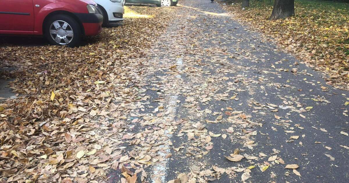 RETIM și ADID Timiș introduc colectare gratuită a deșeurilor vegetale din Timișoara.