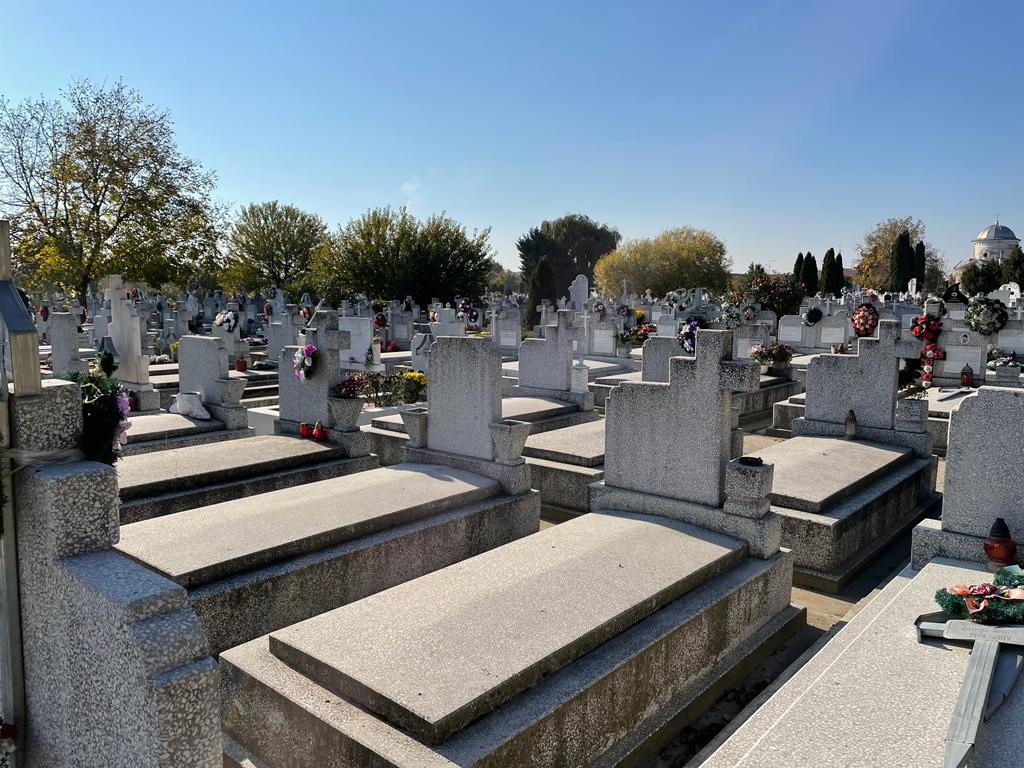 ziua mortilor 1 noiembrie cimitir flori (14)
