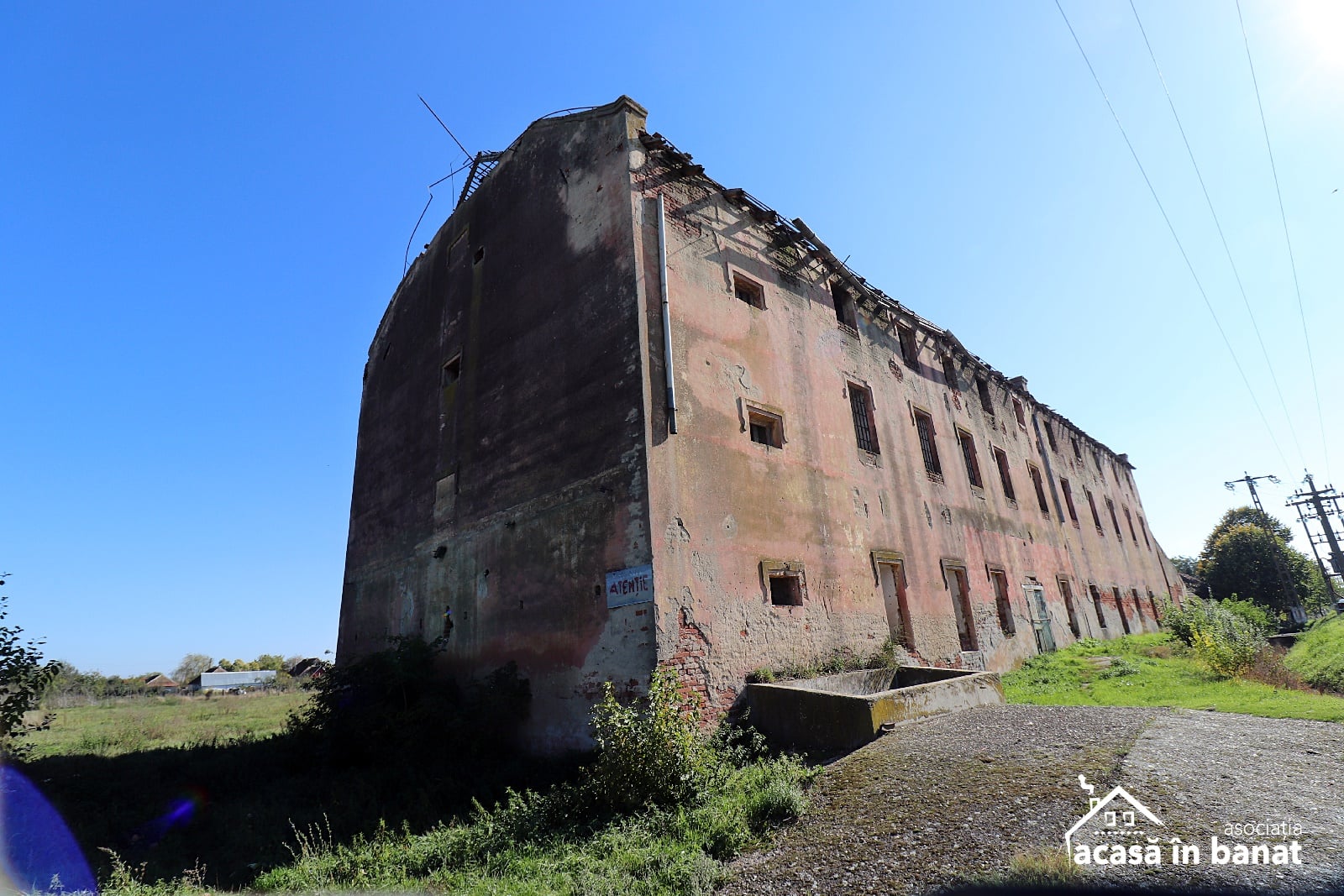 mori de cereale timis acas ain banat (7)