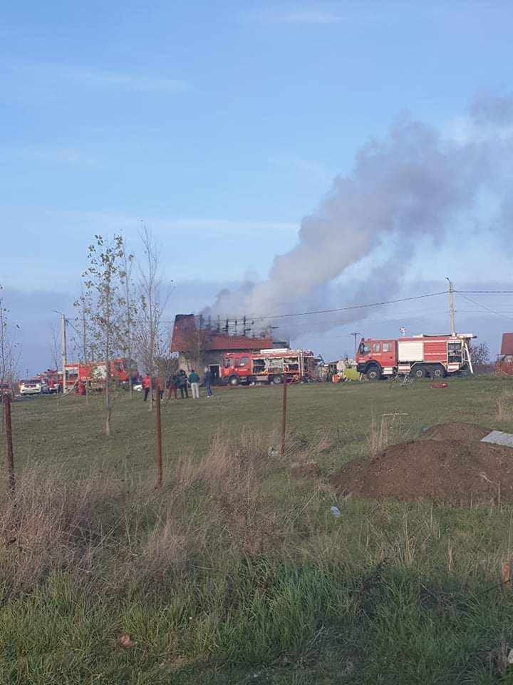 WhatsApp Image 2021-11-12 at 17.13.47