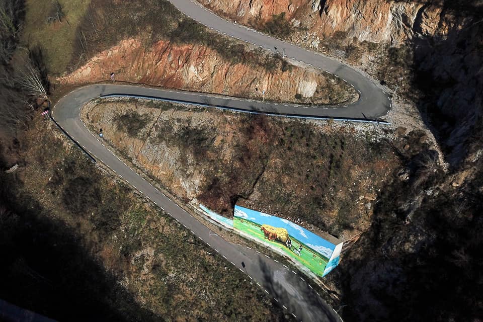 transluncani arta murala 4