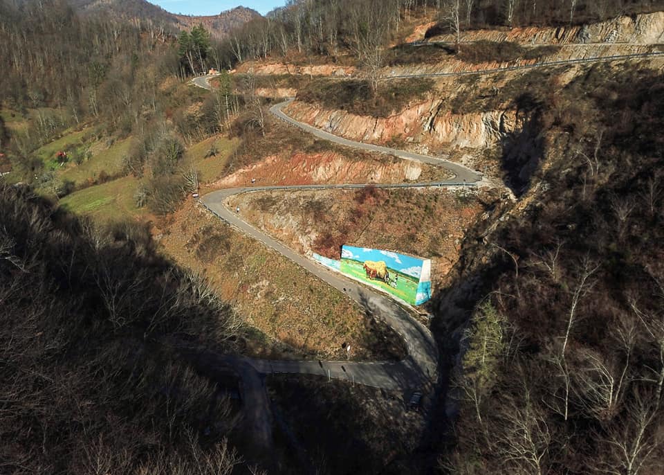 transluncani arta murală3