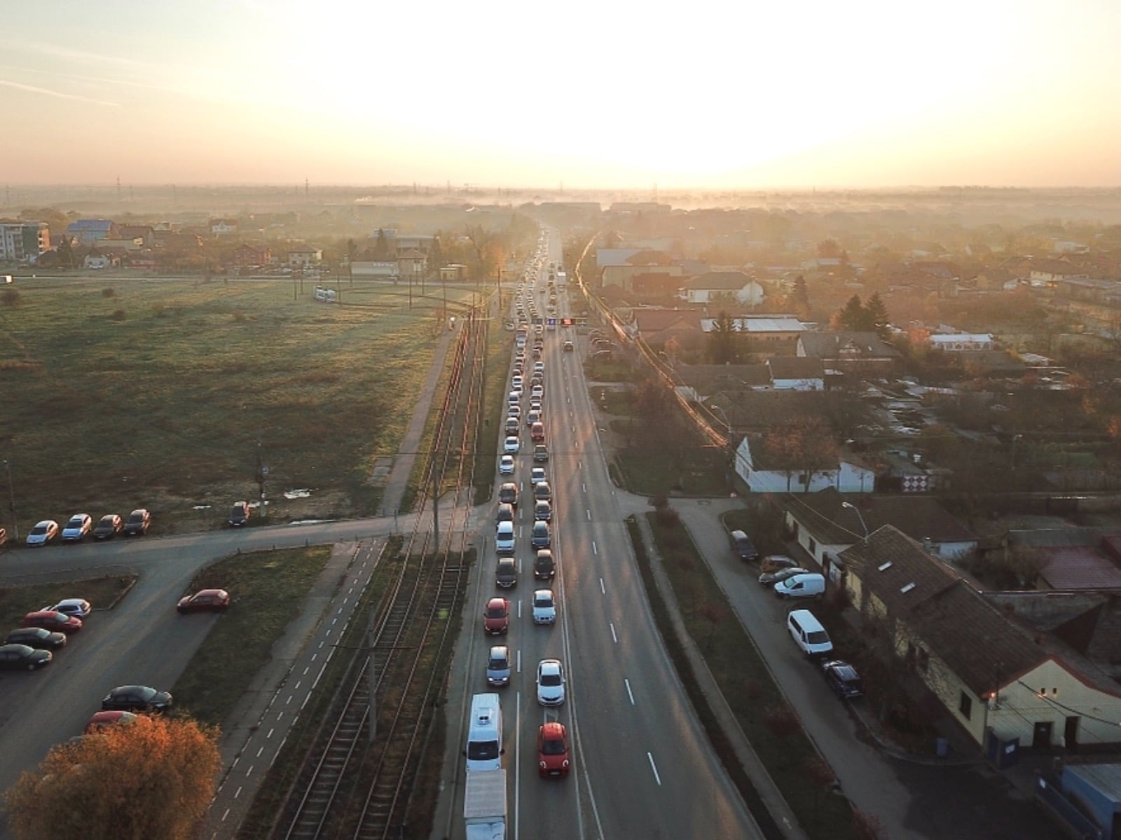 cozi mosnita-timisoara calea buziasului 3