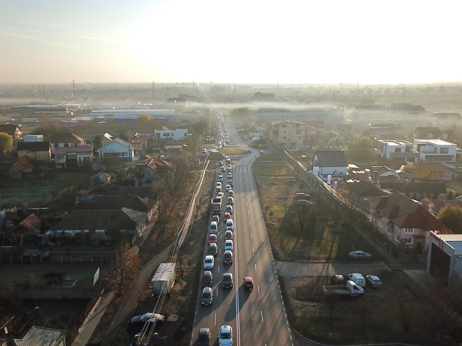 cozi mosnita-timisoara calea buziasului 5