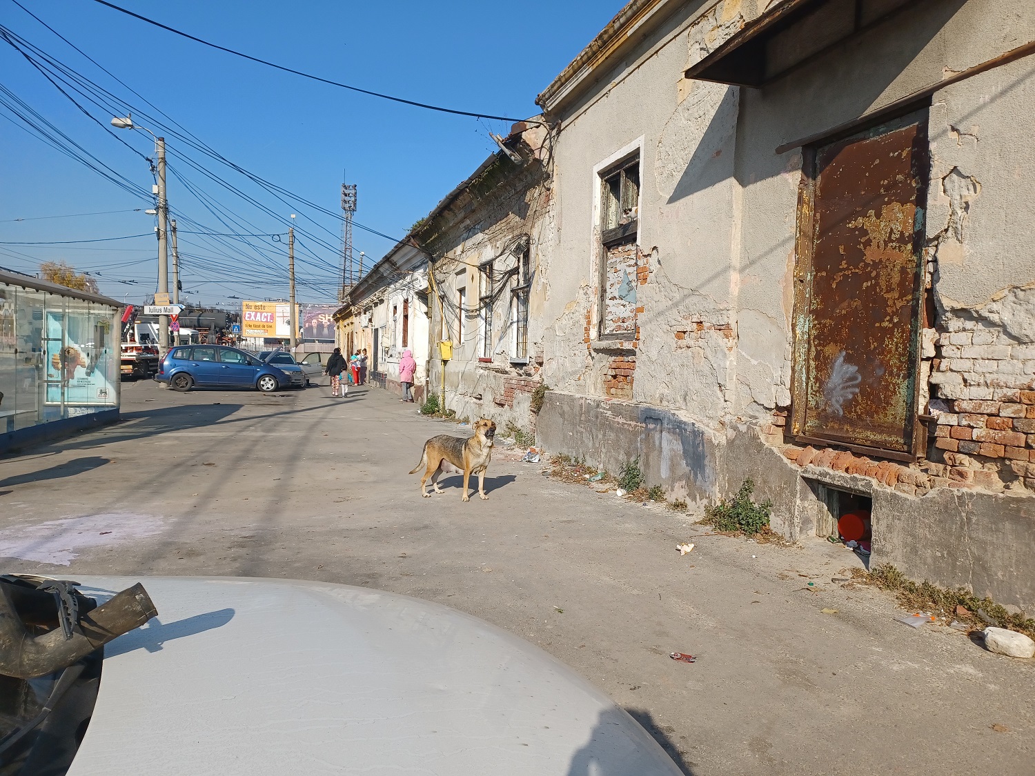 razie politia locala (9)