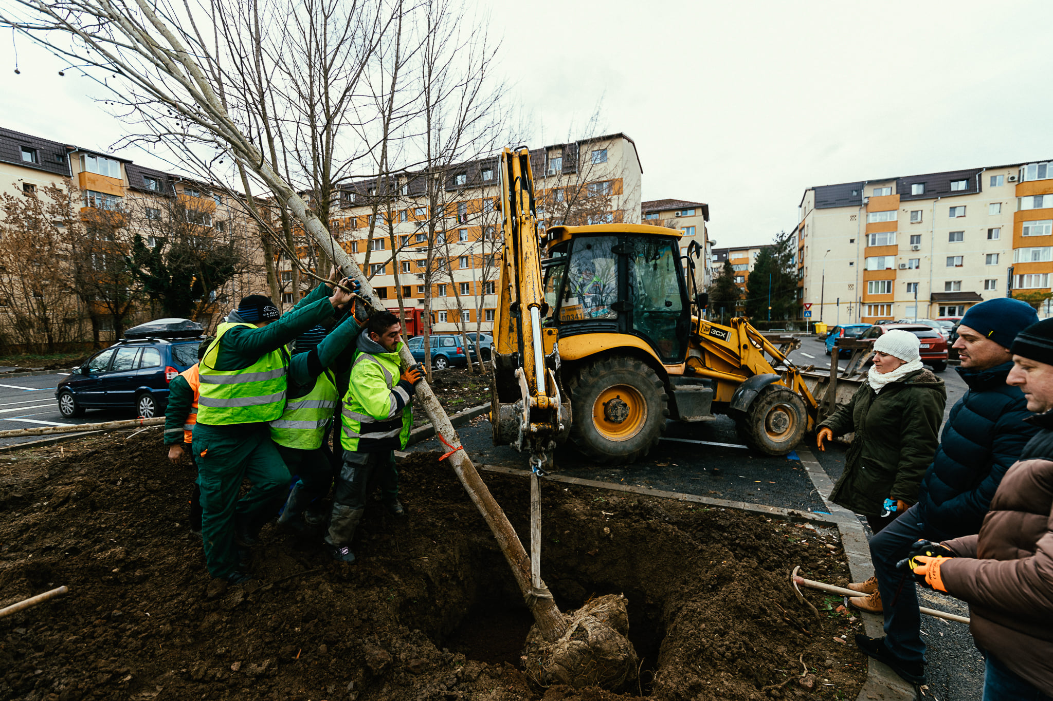 plantare arbori dominic fritz (3)