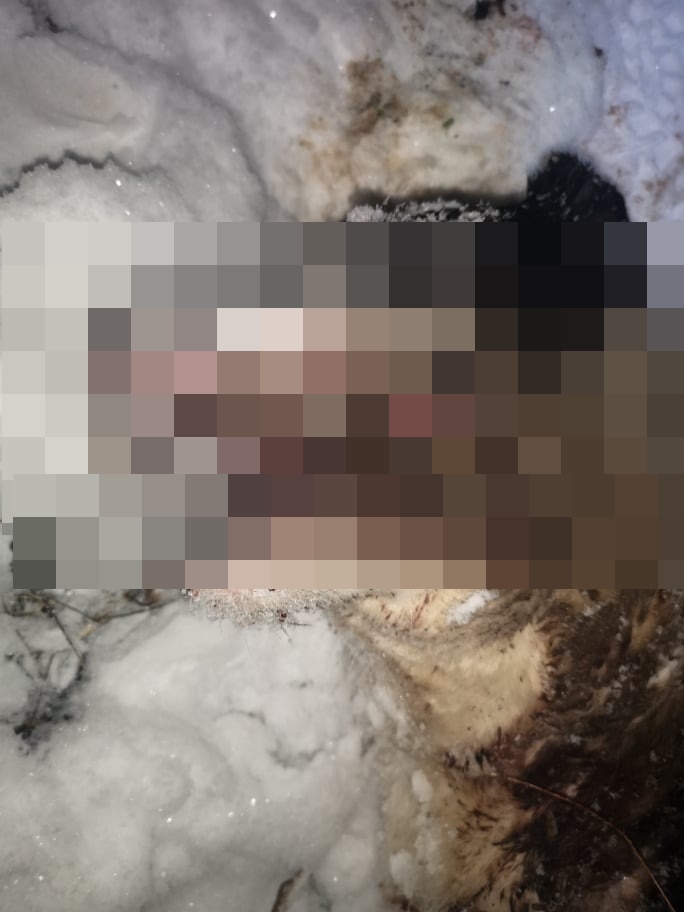 WhatsApp Image 2022-01-13 at 16.54.14