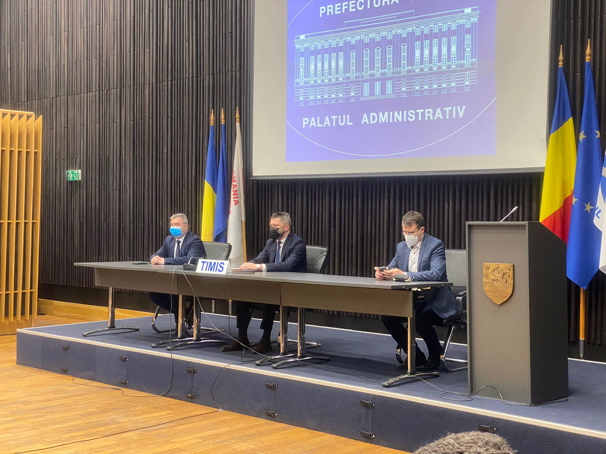 mihai ritivoiu 2 (4)