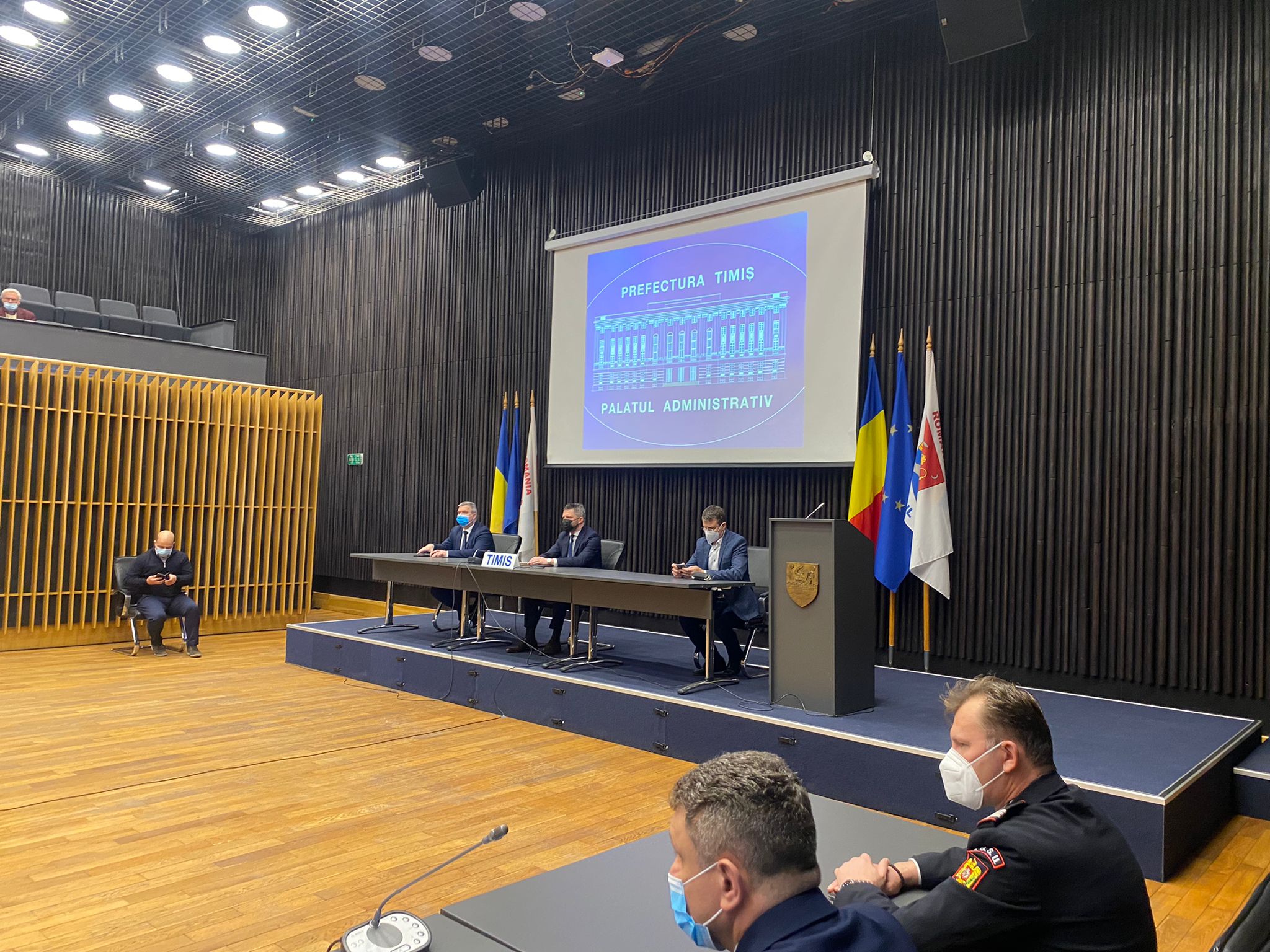 mihai ritivoiu 2 (8)