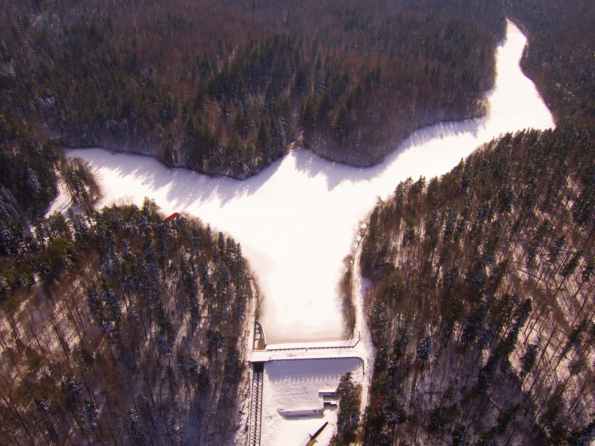 lacul buhui banatul montan (1)