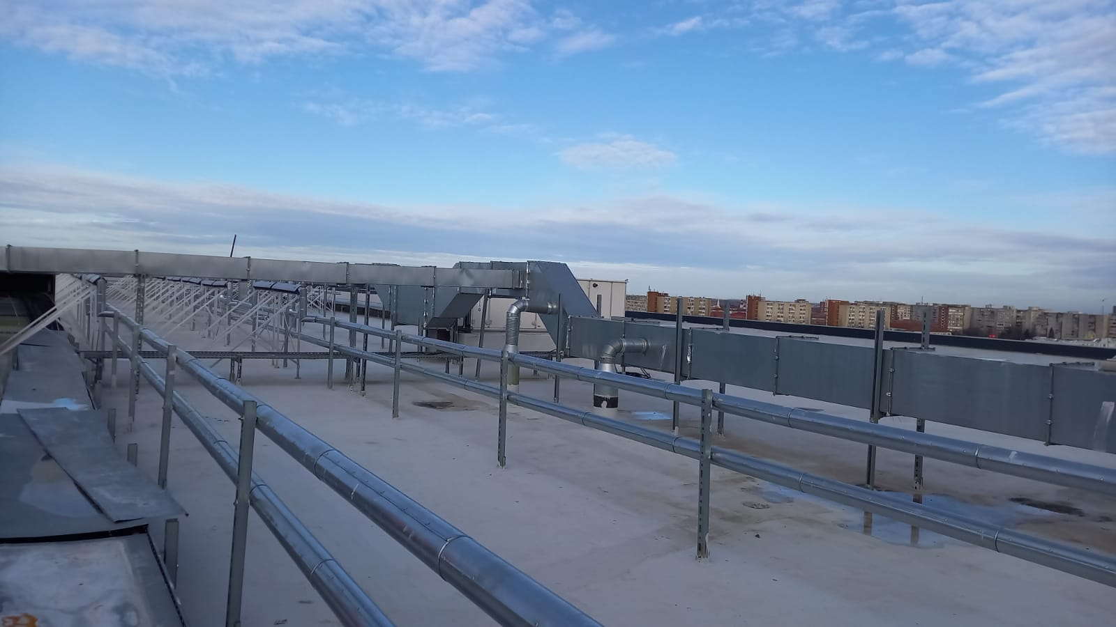 WhatsApp Image 2022-02-18 at 11.11.51