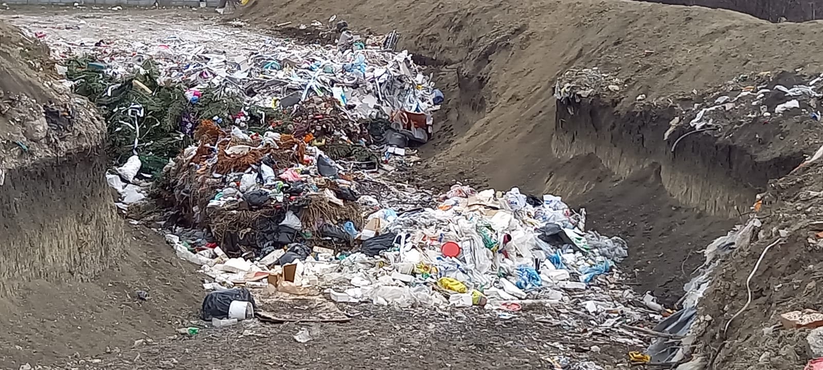 WhatsApp Image 2022-03-09 at 12.48.47