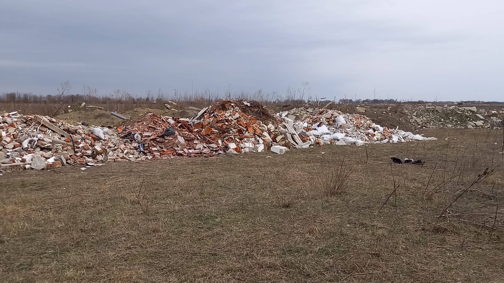 WhatsApp Image 2022-03-09 at 12.51.58