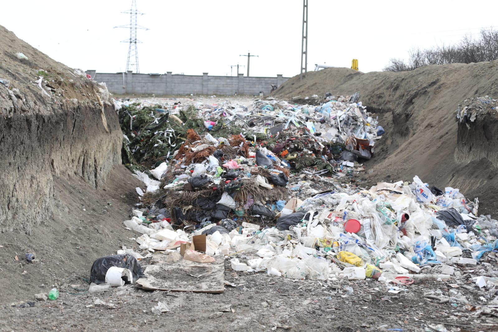 WhatsApp Image 2022-03-09 at 13.17.36 (3)