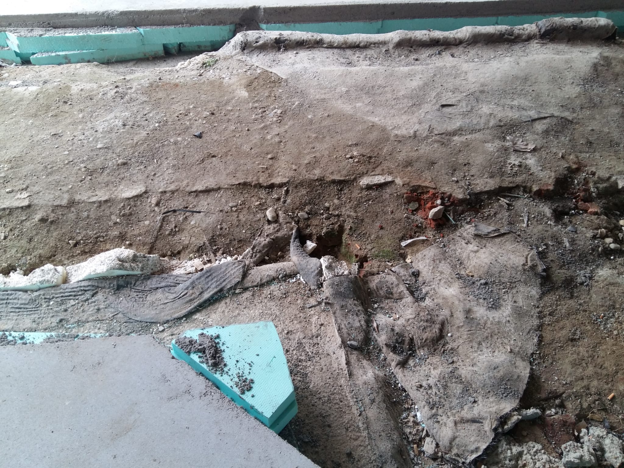 WhatsApp Image 2022-03-09 at 16.29.54