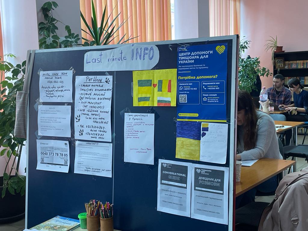 timisoara pentru ucraina (14)