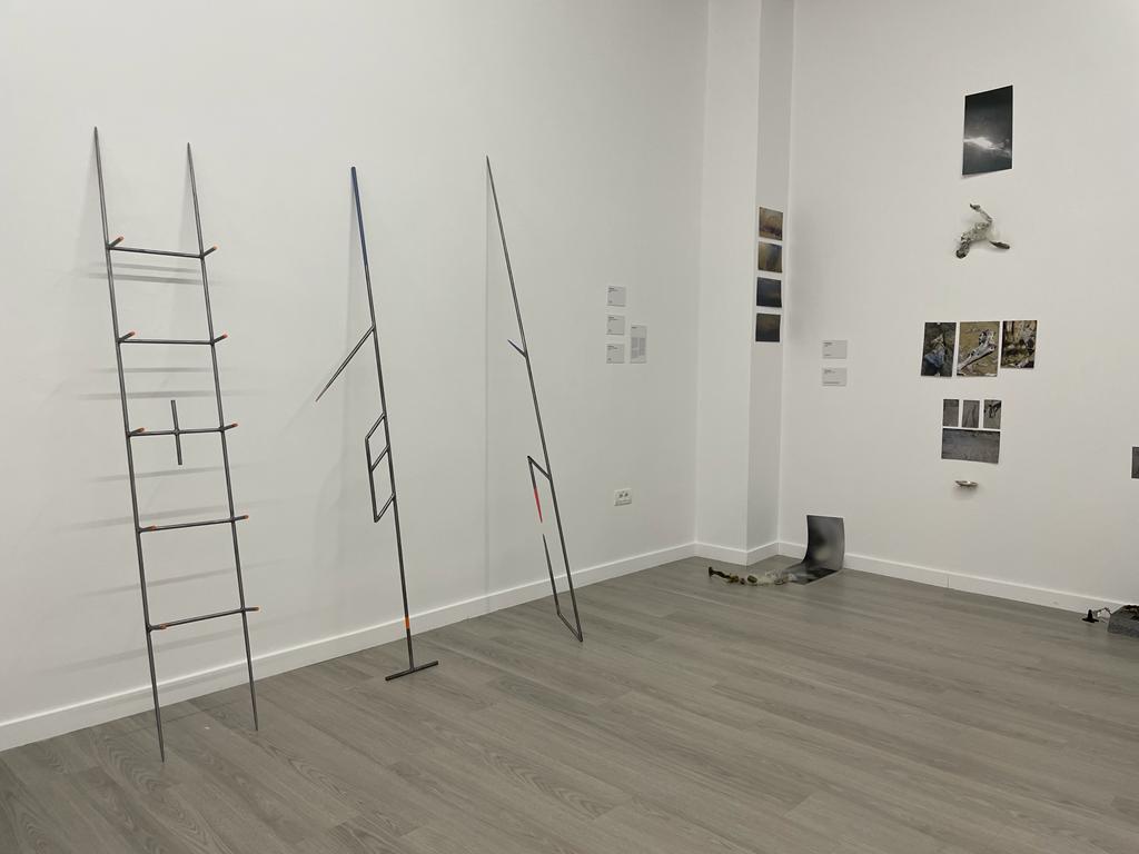 expozitie art encounters (24)