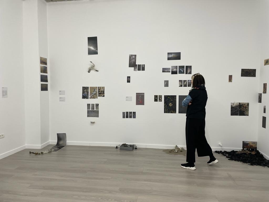 expozitie art encounters (25)