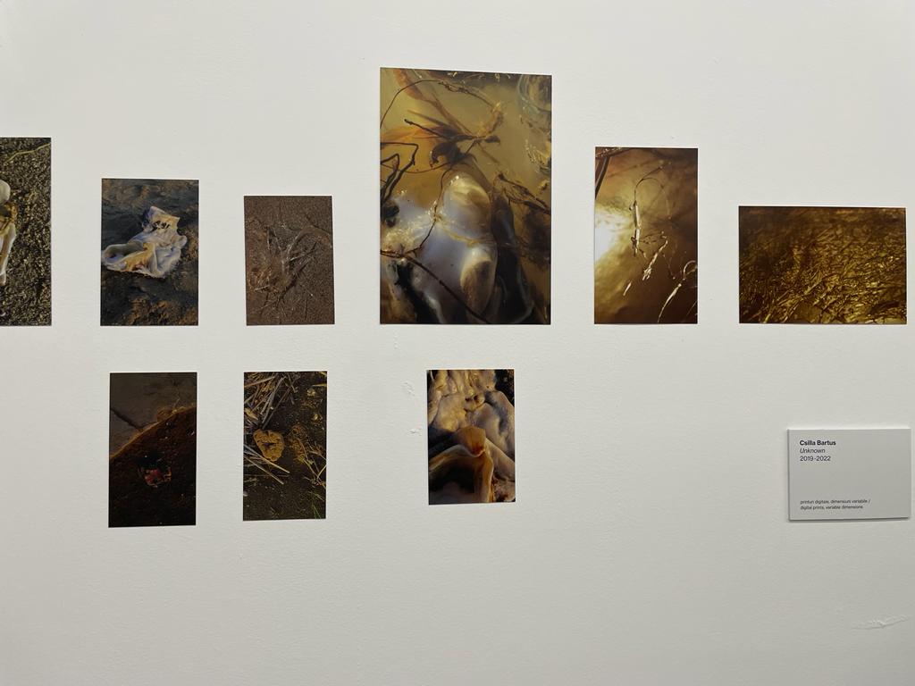 expozitie art encounters (1)