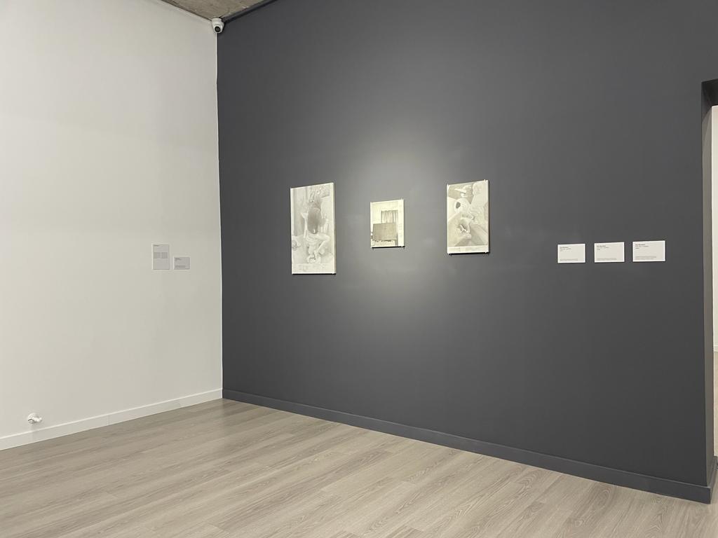 expozitie art encounters (2)