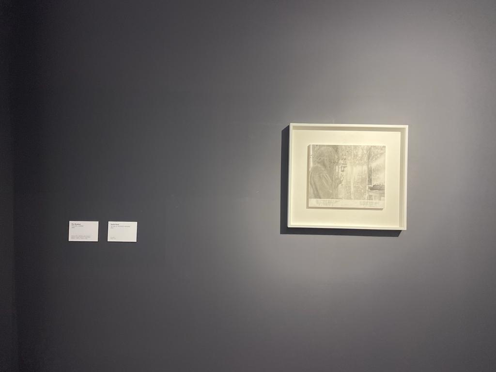 expozitie art encounters (4)