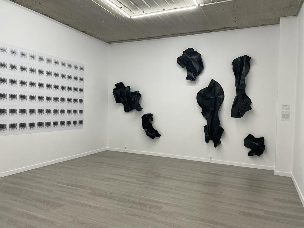 expozitie art encounters (6)