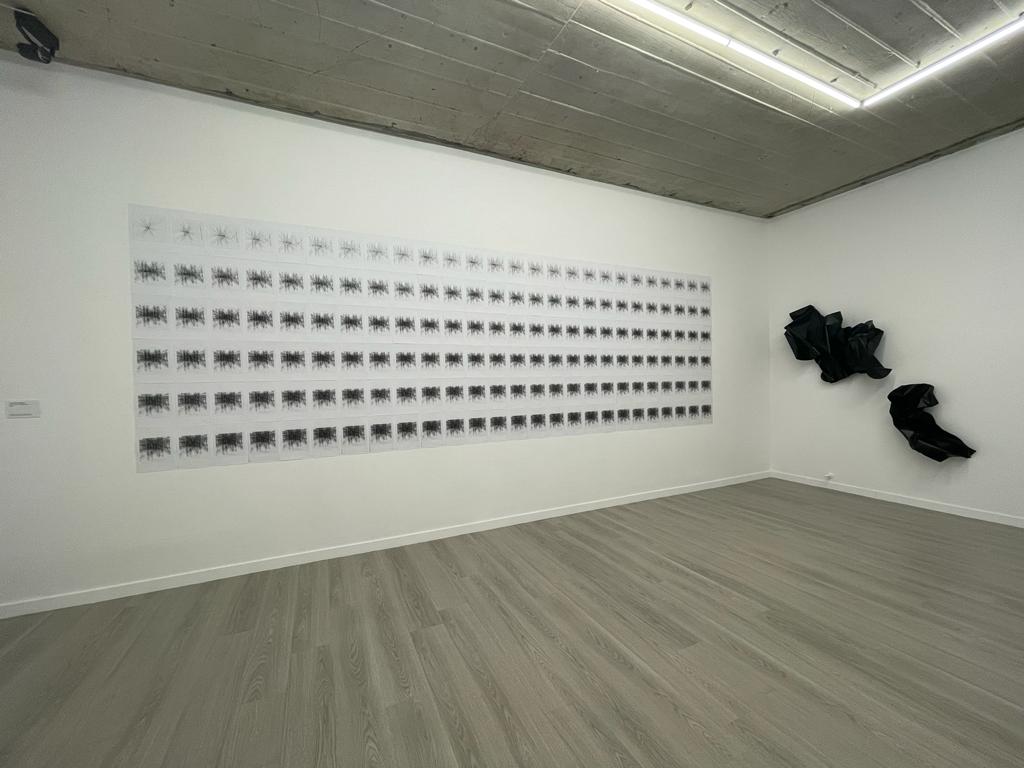 expozitie art encounters (7)