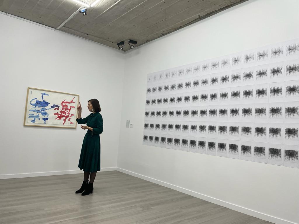 expozitie art encounters (12)