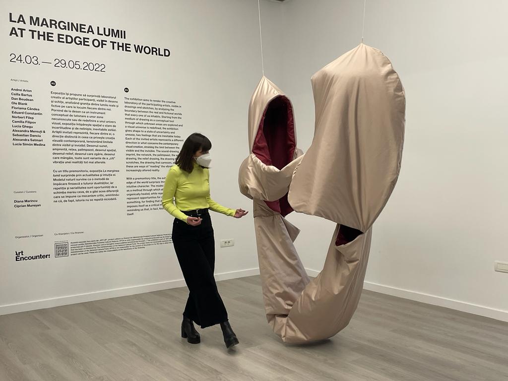 expozitie art encounters (16)