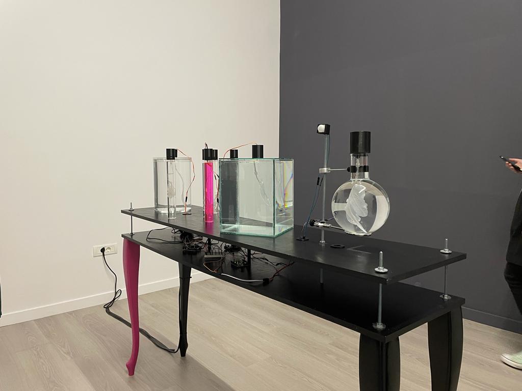 expozitie art encounters (19)