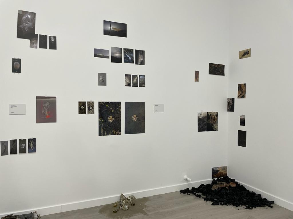 expozitie art encounters (21)