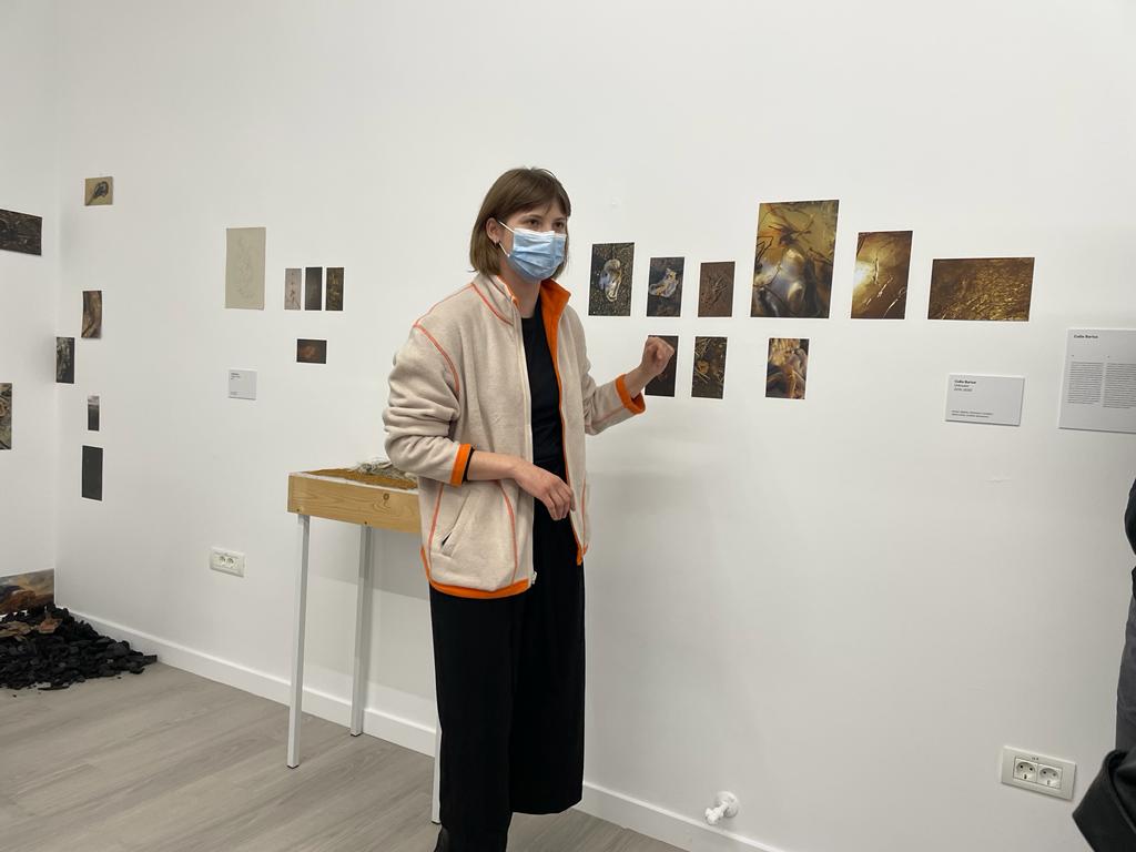 expozitie art encounters (22)