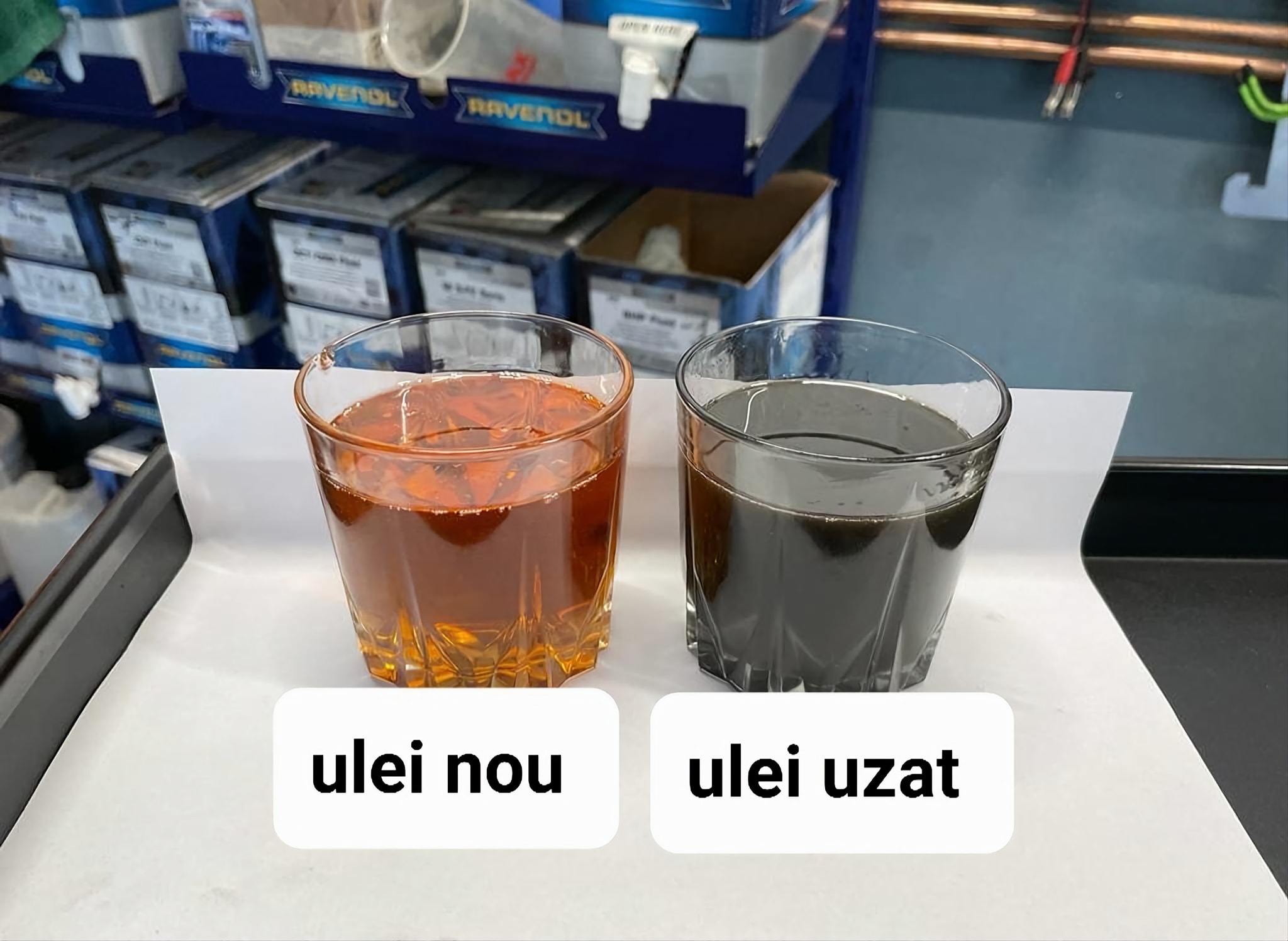 273520720_1363628524078120_8613513318979625342_n