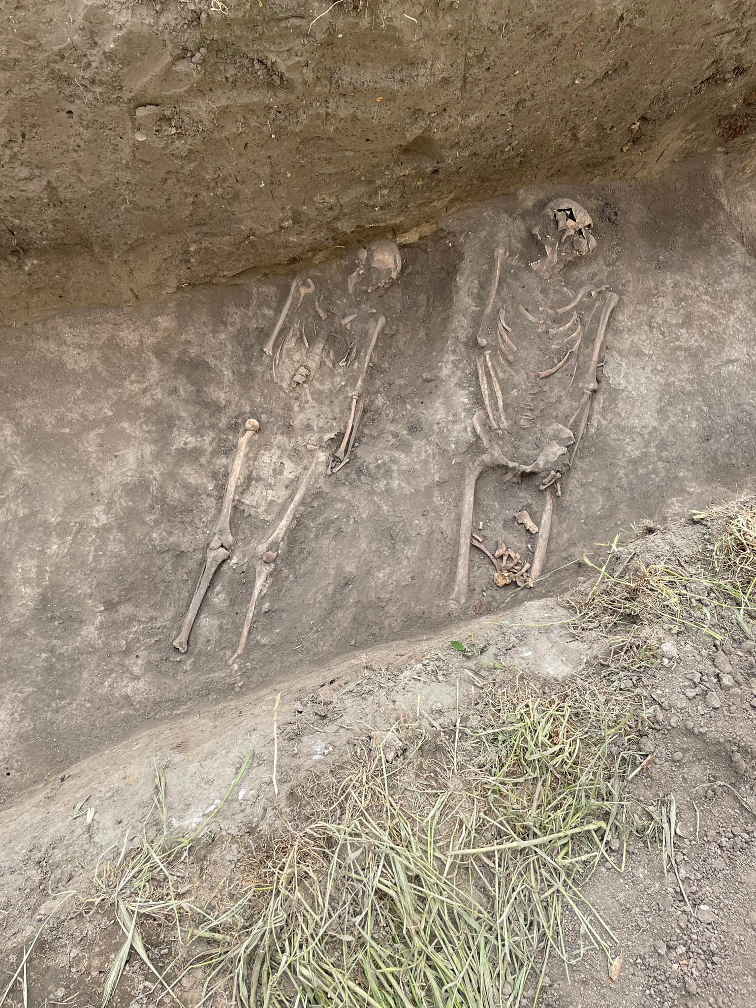 279208115_415308050595756_6002830545980091131_n