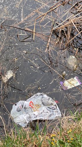 274673554_504656114485610_5606239833297837446_n